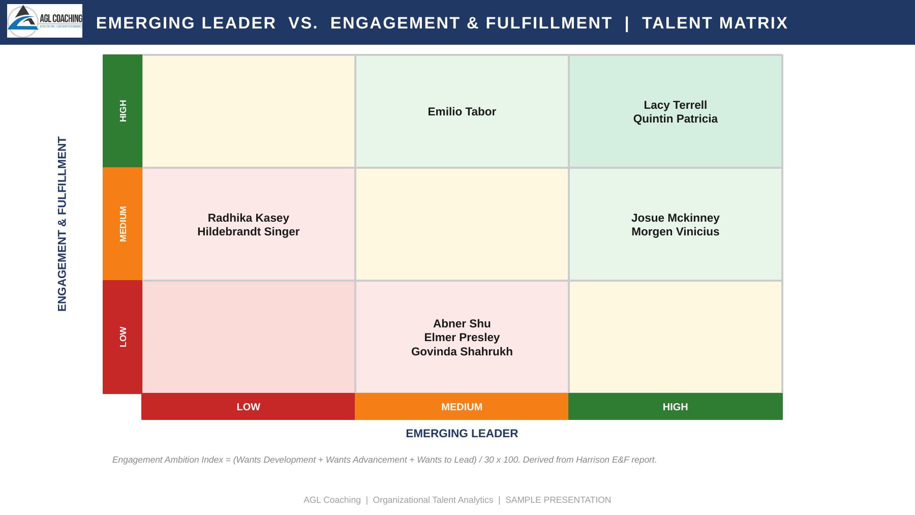 Sample 9-Box Talent Matrix